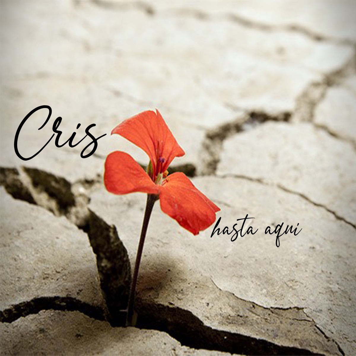 Hasta Aquí - Single by Cris album cover