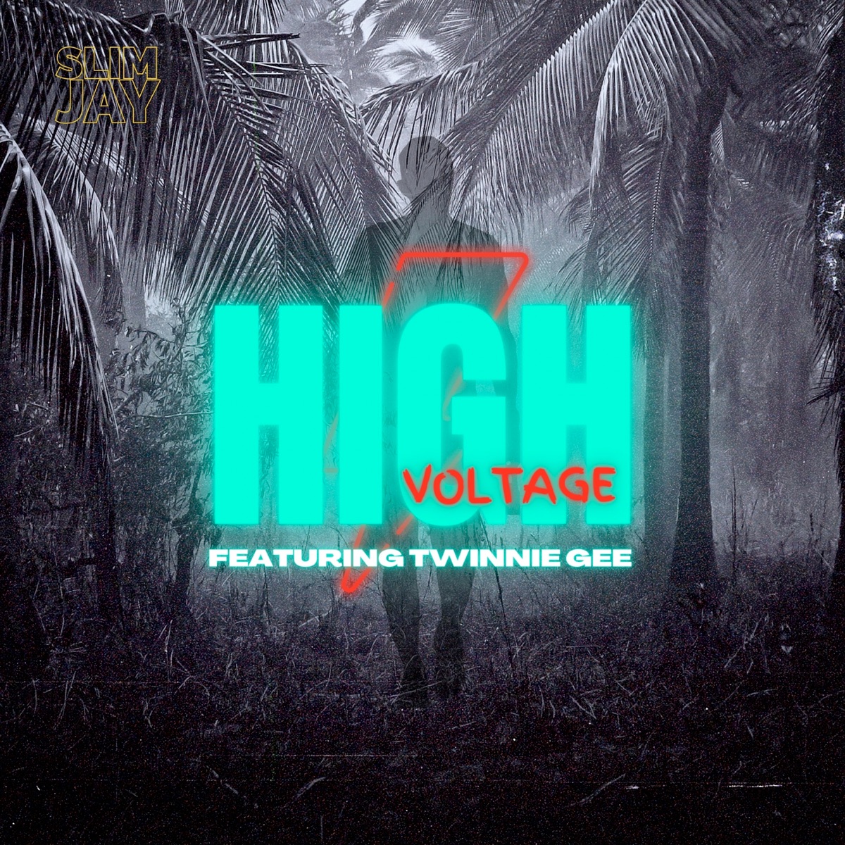 High Voltage (feat. Twinnie Gee) - Single by Slim Jay album cover