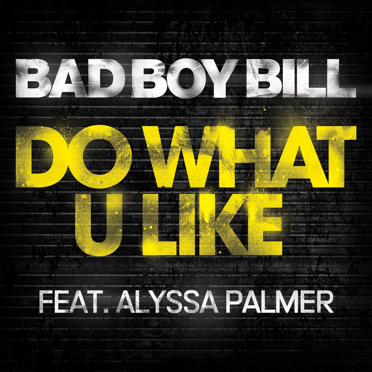 Do What U Like by Bad Boy Bill album cover