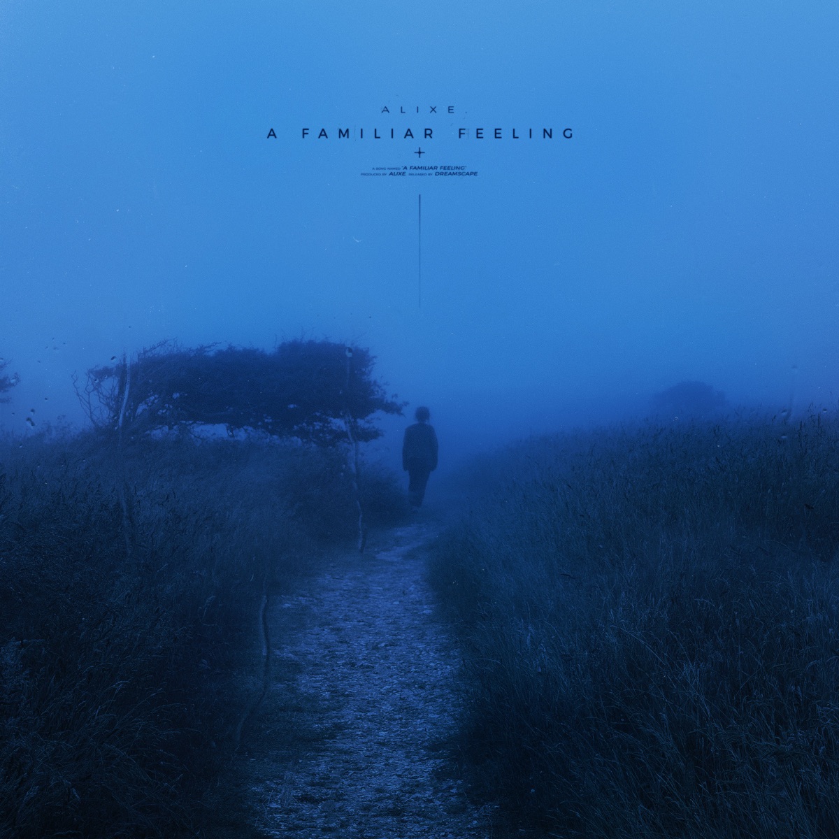 A Familiar Feeling - Single by alixe. album cover
