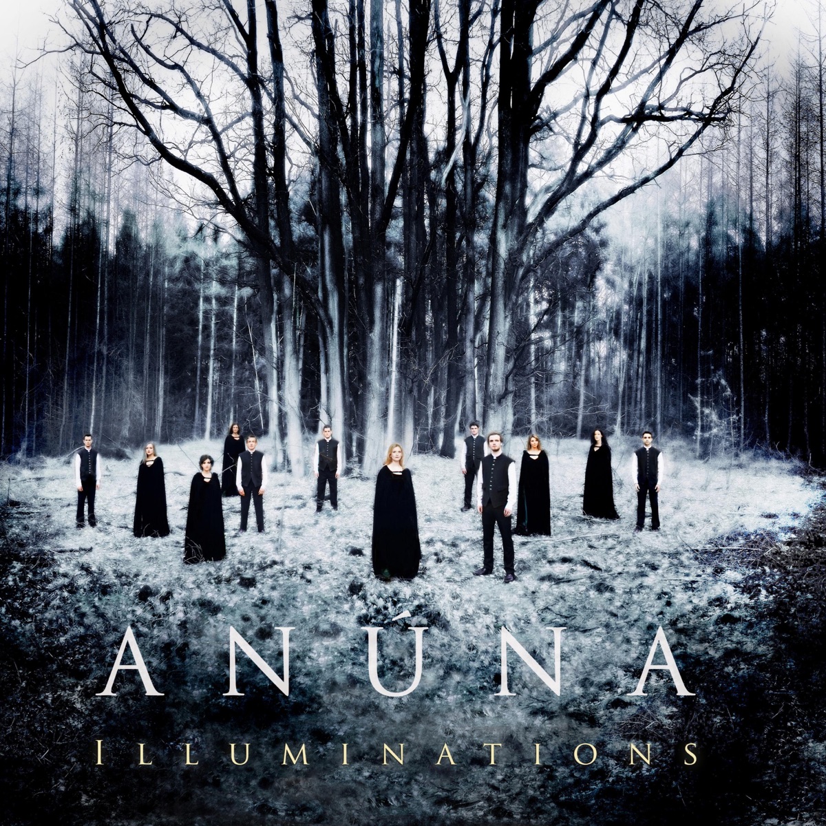 Illuminations by Anúna & Michael McGlynn album cover