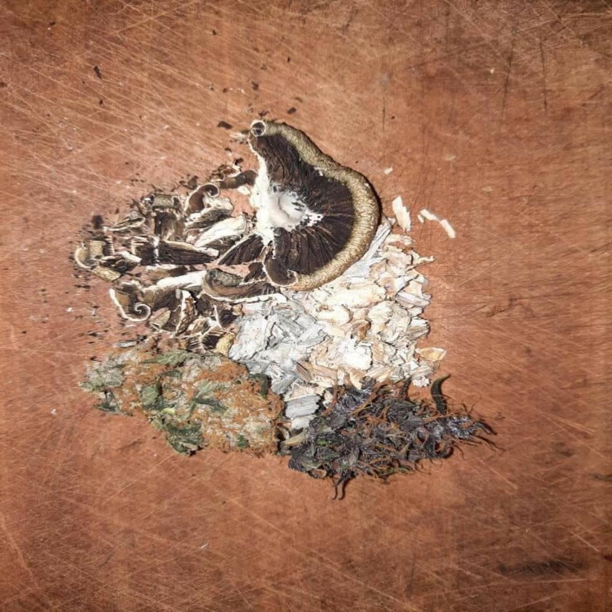 Germinando Ideas - Single by Tinta Shinoh & Gonzativo album cover