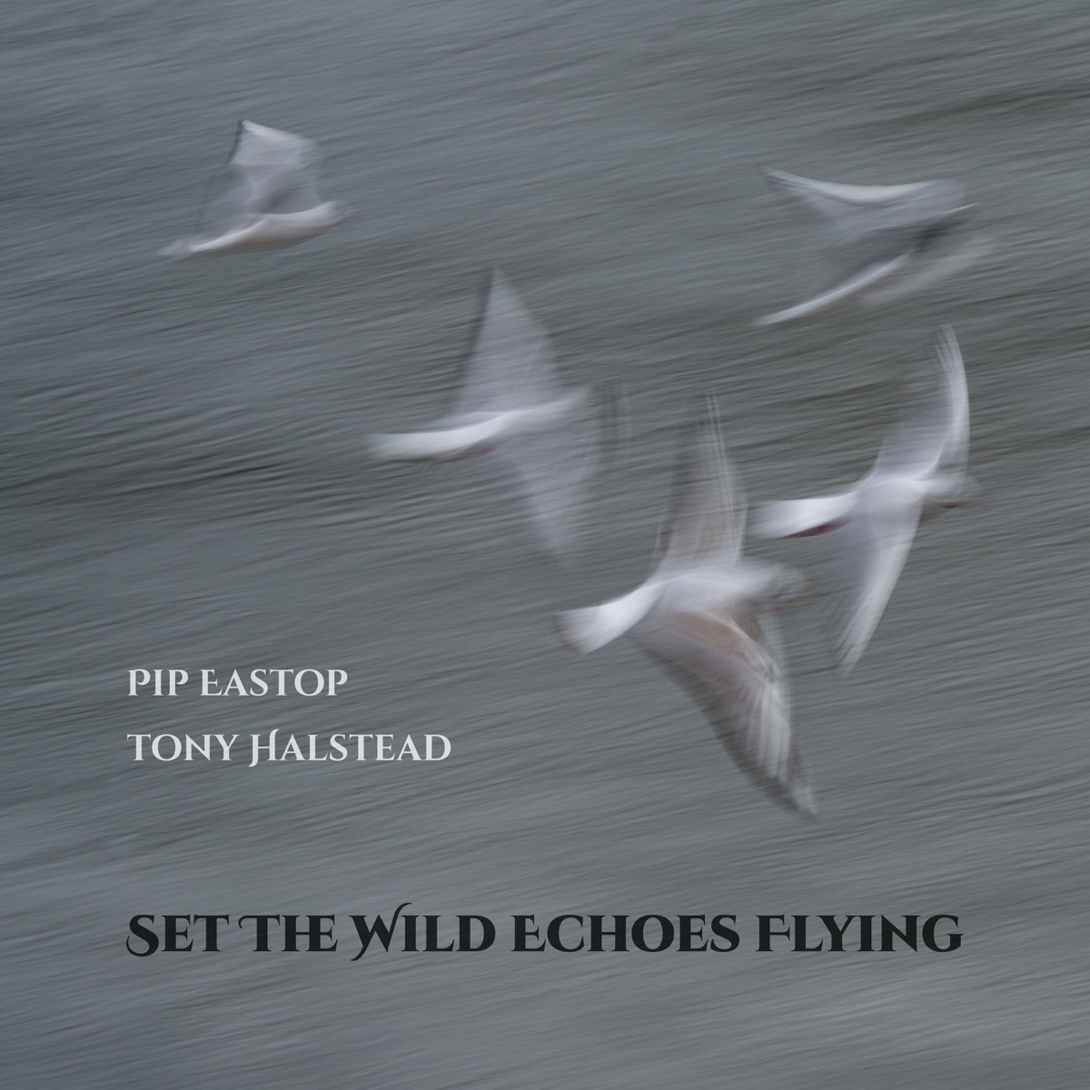 Set the Wild Echoes Flying by Pip Eastop & Anthony Halstead album cover