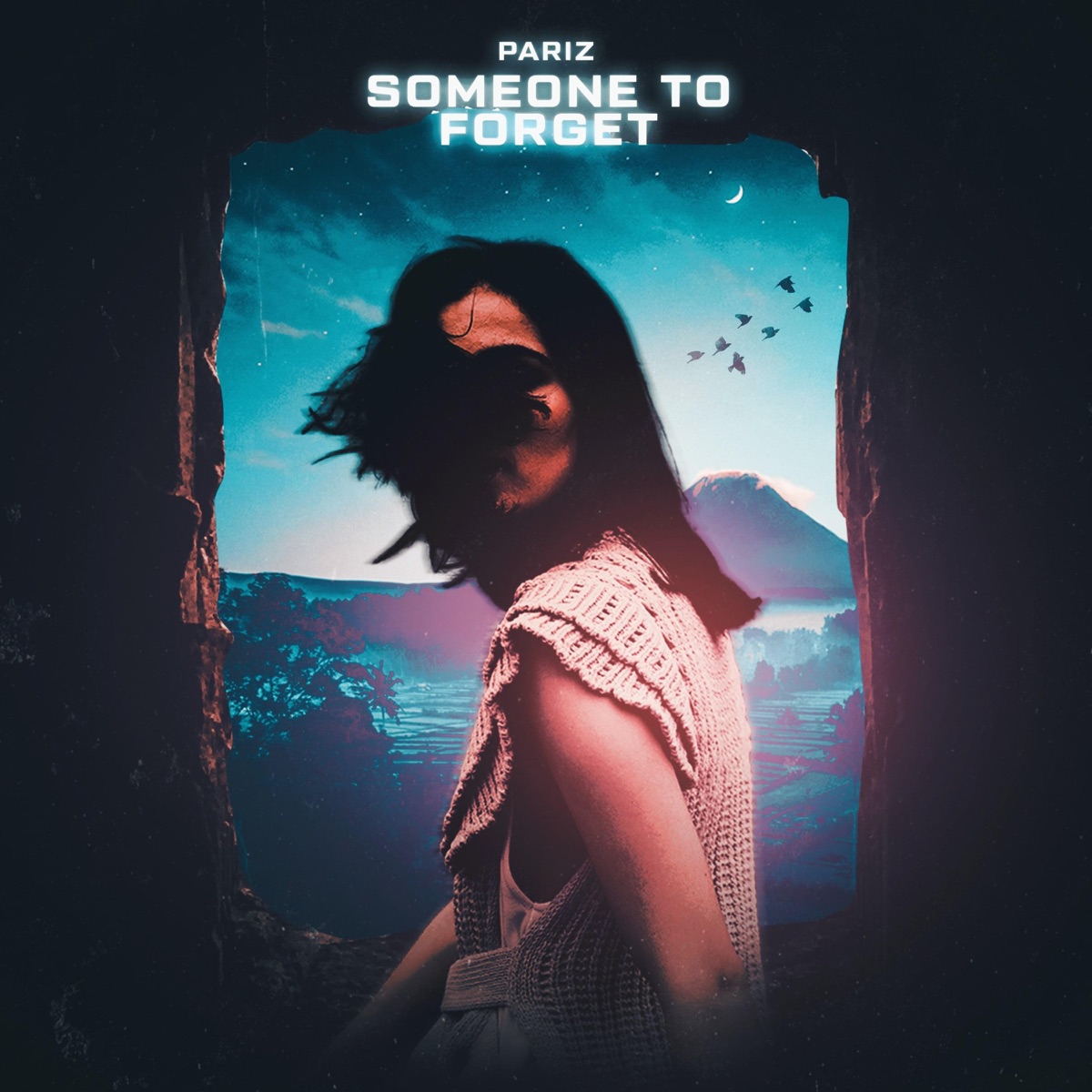 Someone To Forget - Single by Pariz album cover