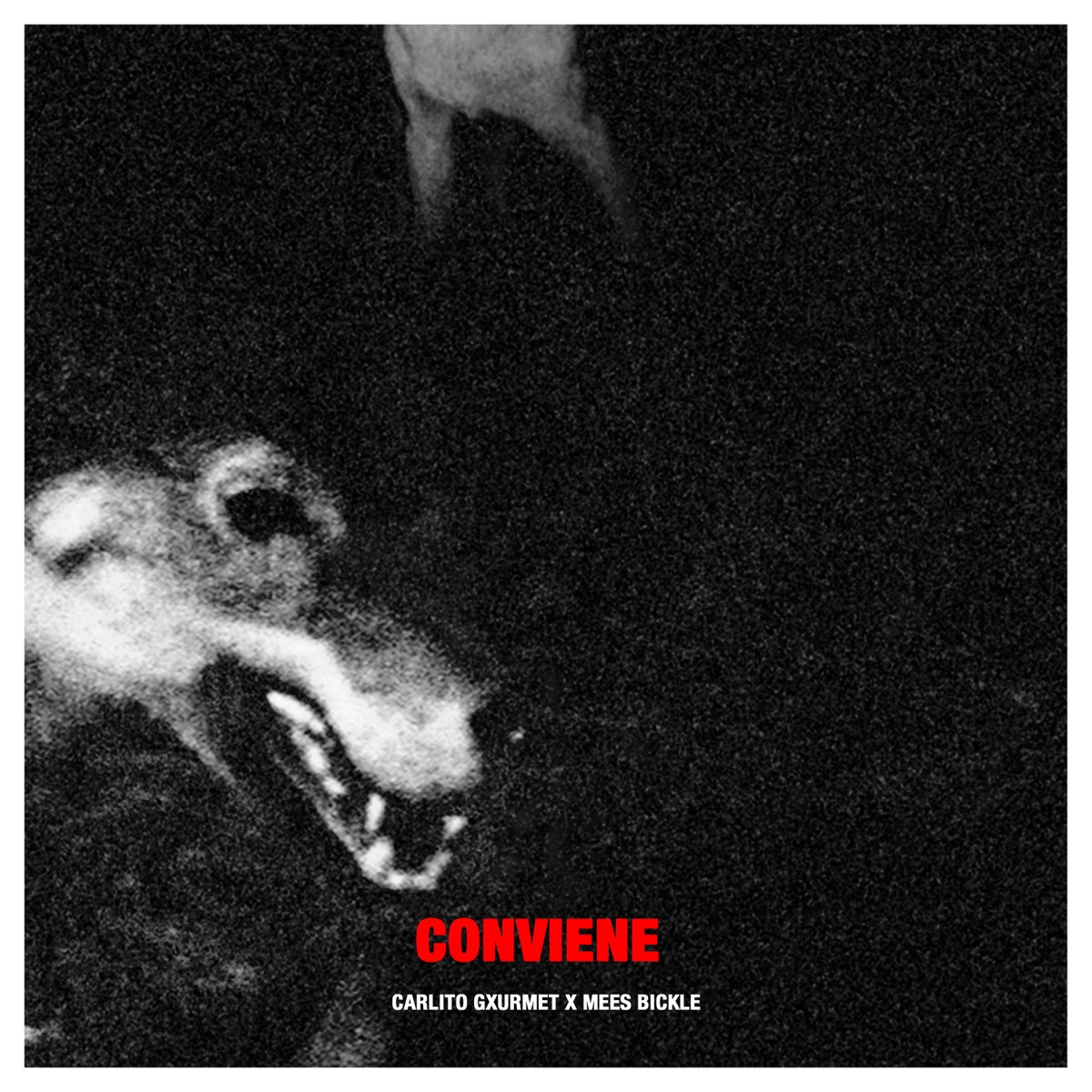 Conviene - Single by Carlito Gxurmet, Mees Bickle & Zazo & Gxurmet album cover