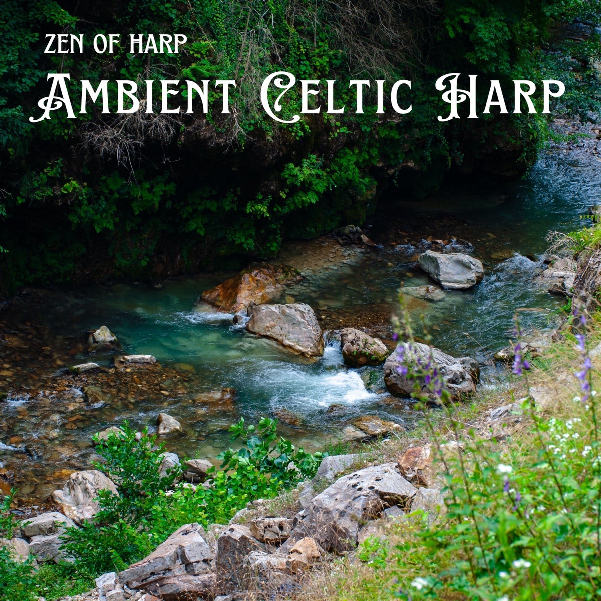 Ambient Celtic Harp by Zen of Harp album cover