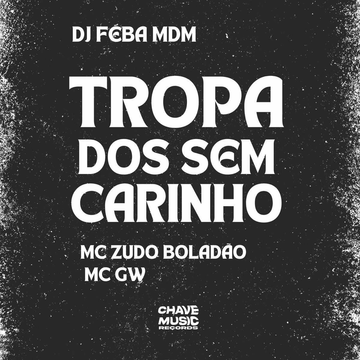 Tropa dos Sem Carinho (feat. Mc Gw) - Single by DJ FEBA MDM & MC Zudo Boladão album cover