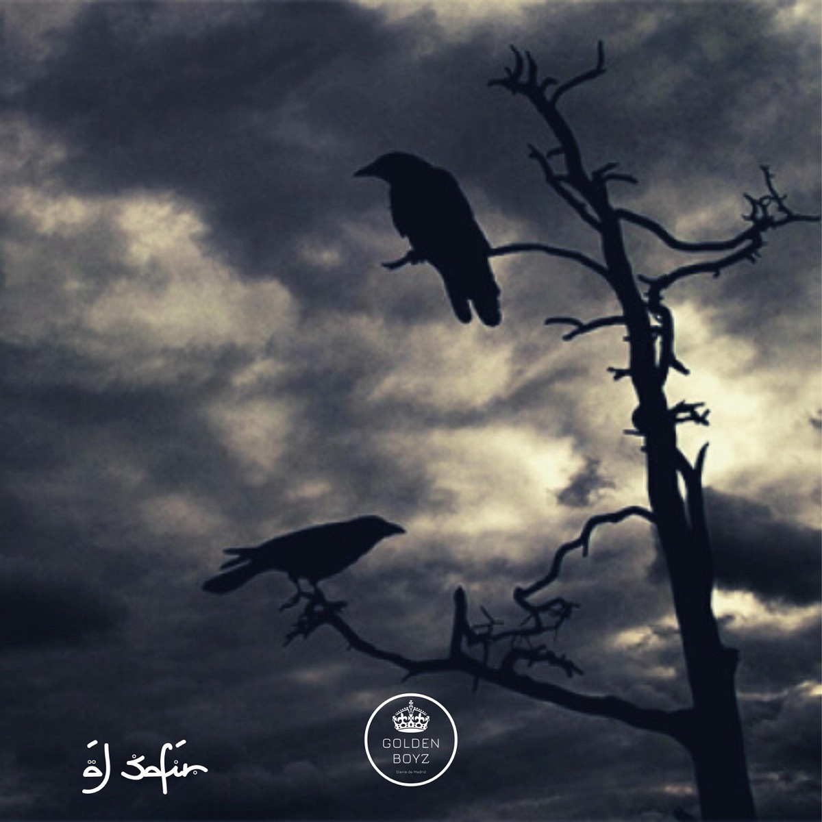 Shars 2020 - Single by Al Safir album cover
