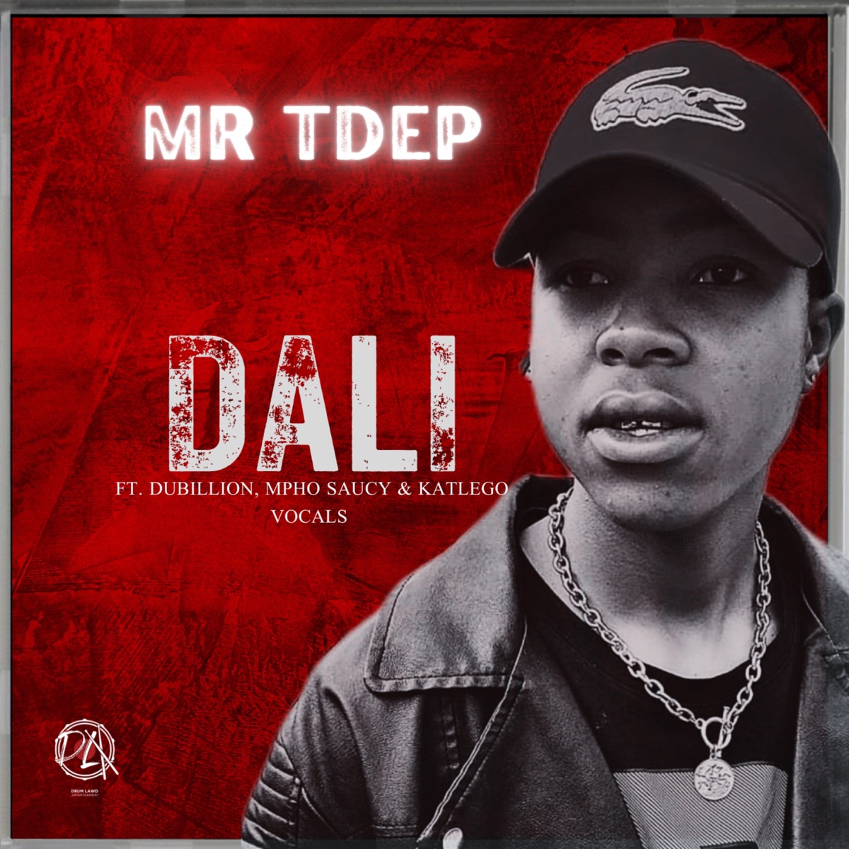 Dali (feat. Mpho Saucy, Katlego Vocals & Dubillion) - Single by Mr Tdep album cover
