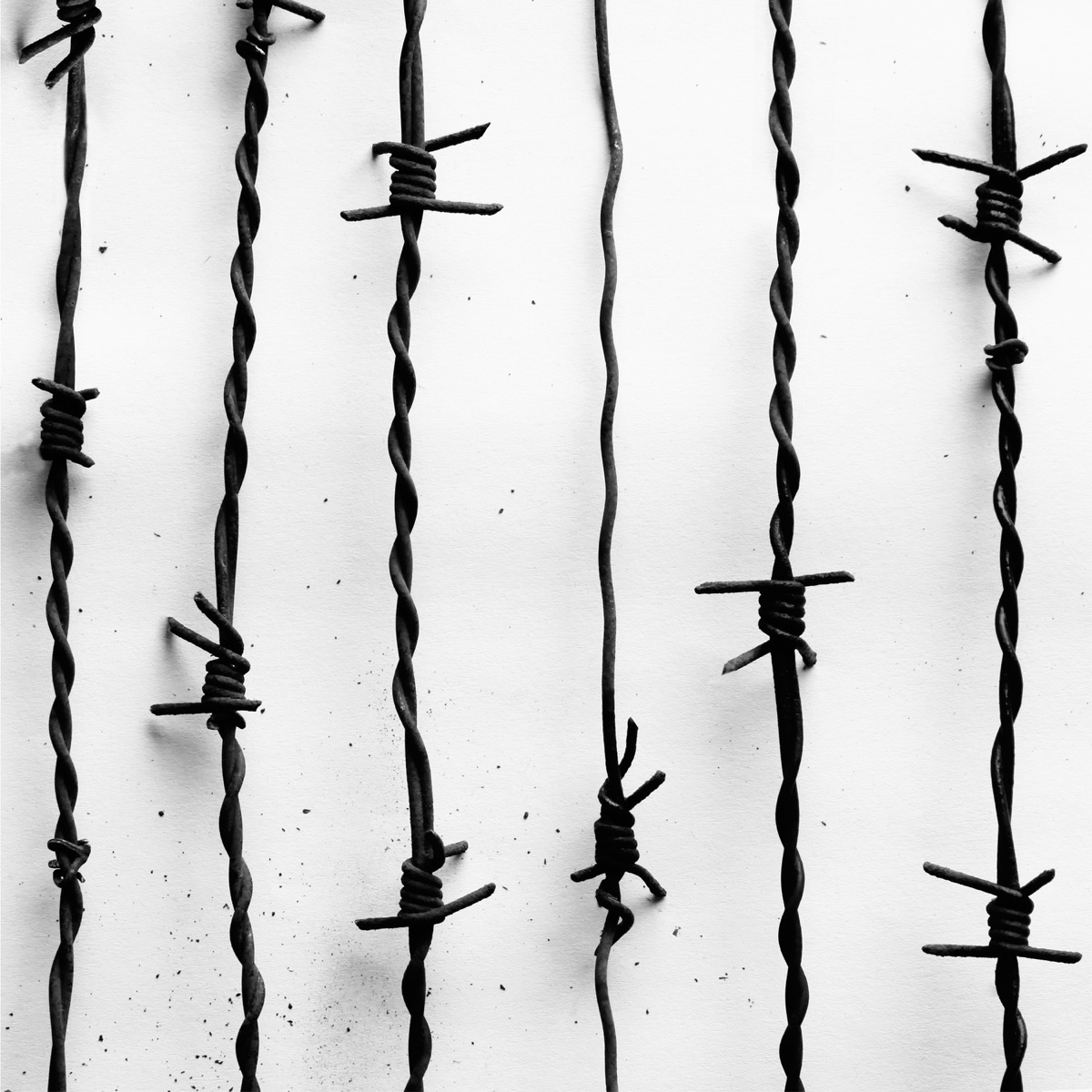 Lang lebe der Tod by Casper album cover