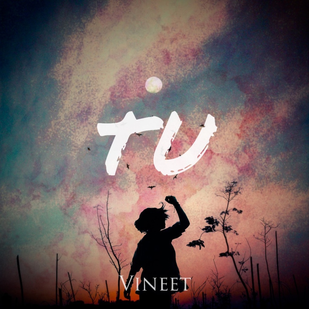 Tu - Single by Vineet album cover