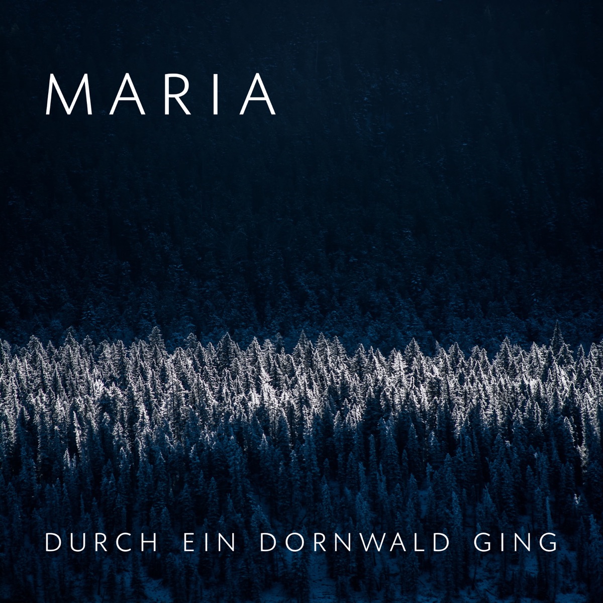 Maria durch ein Dornwald ging (Mary walked through a wood of thorn) - Single by Absence Of Doubt album cover
