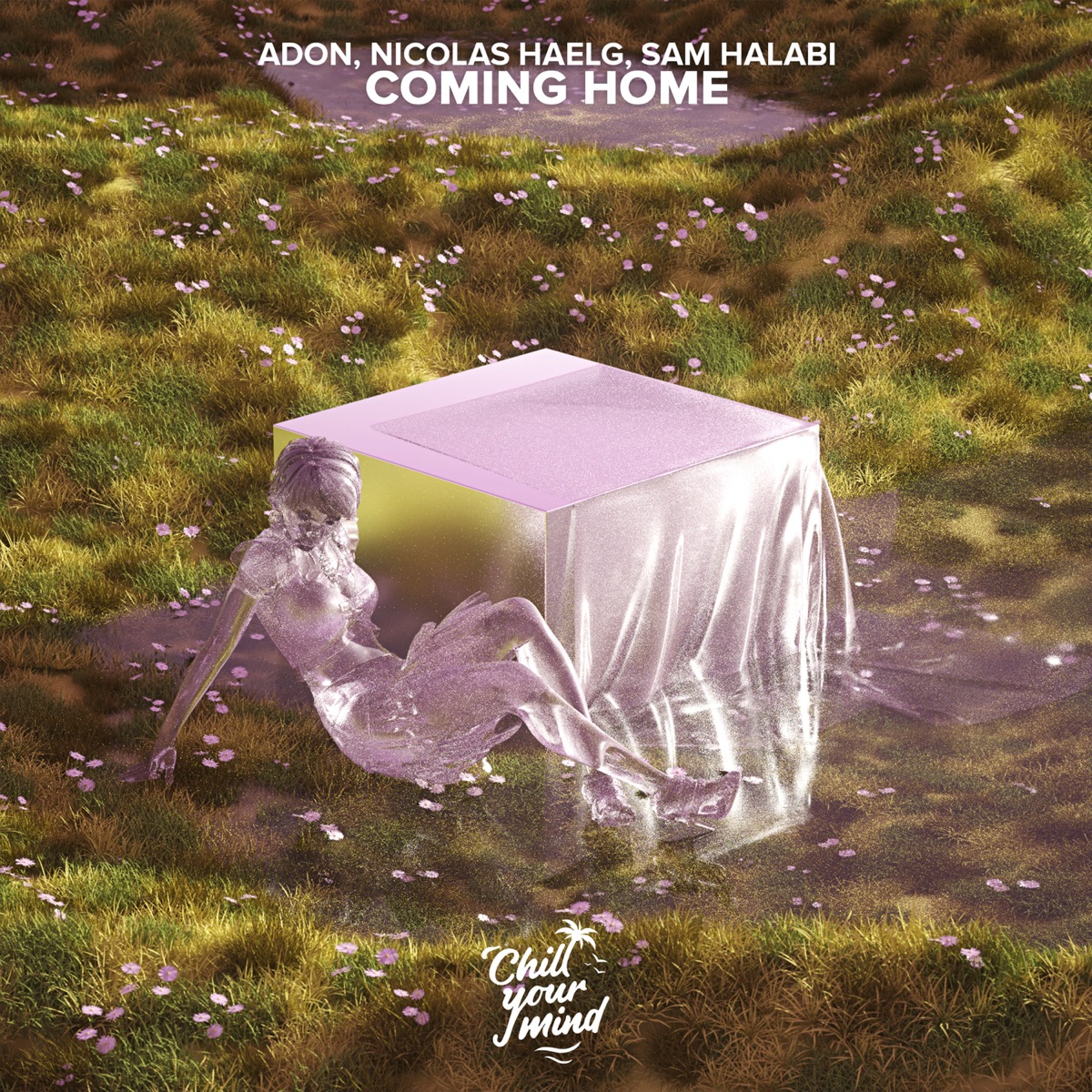 Coming Home - Single by Adon, Nicolas Haelg & Sam Halabi album cover
