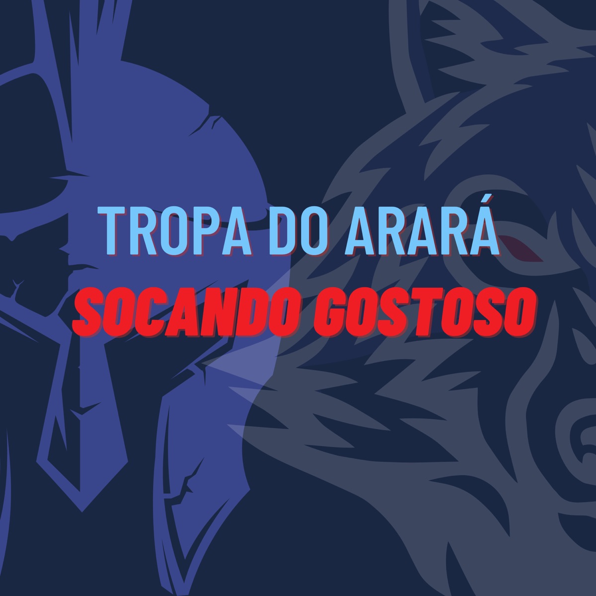 Tropa do Arará Socando Gostoso - Single by MC Godoy, MC Dudu do Manguinho & Dj Cocão do Arara album cover