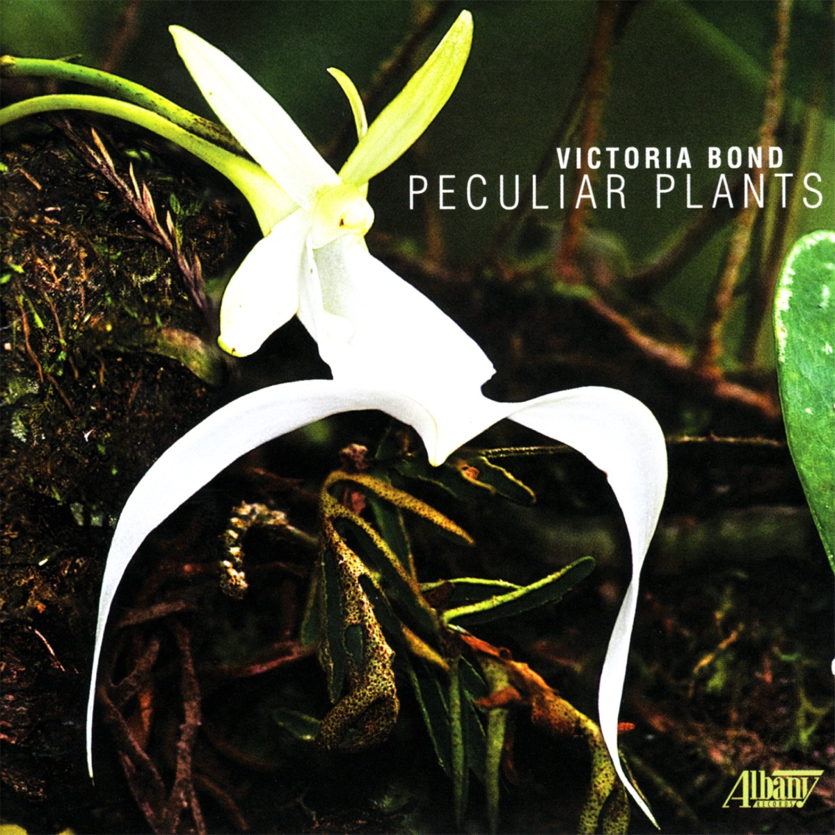 Victoria Bond: Peculiar Plants by Kenneth Cooper, Daniel Panner & Birds and Phoenix album cover