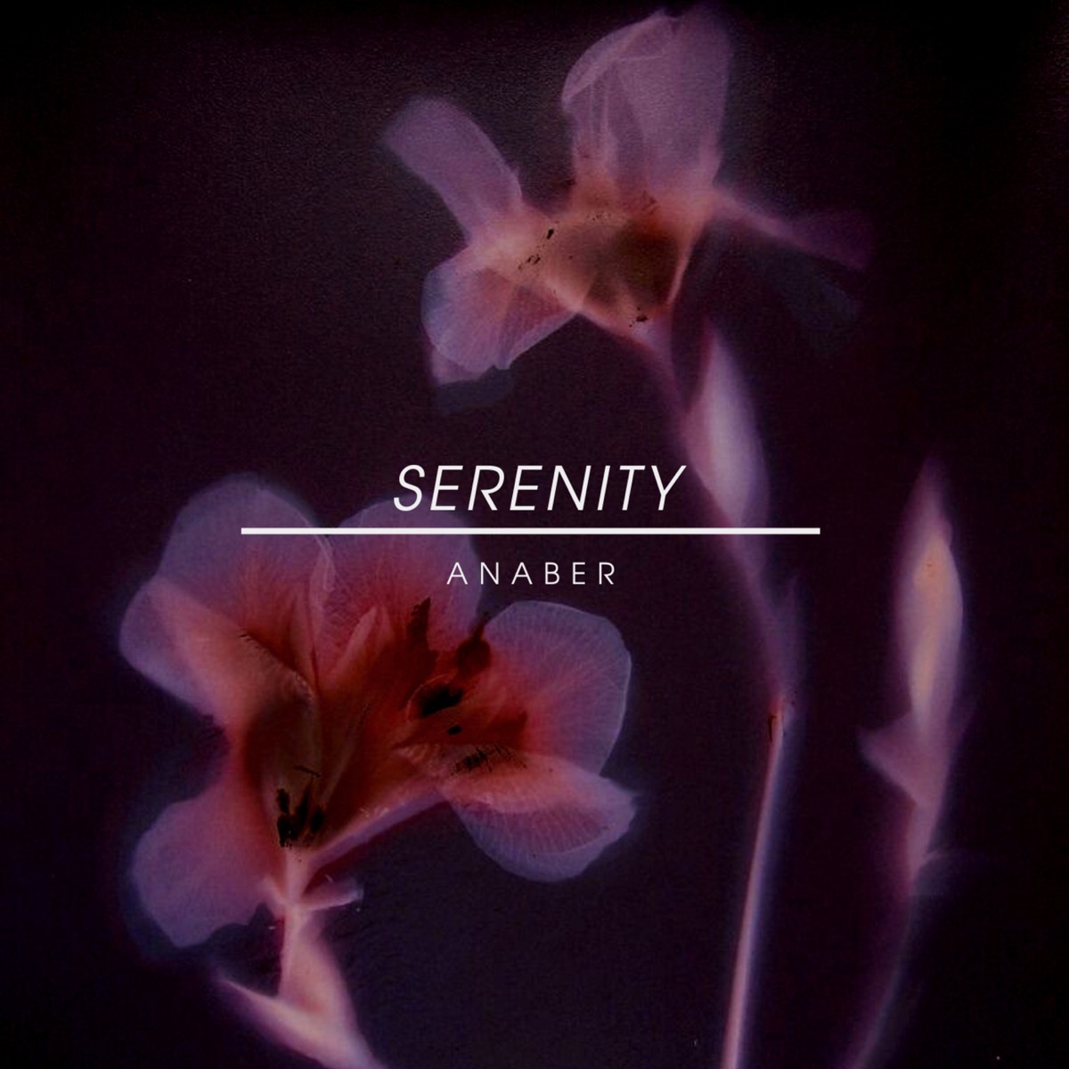 Serenity - Single by Anaber album cover