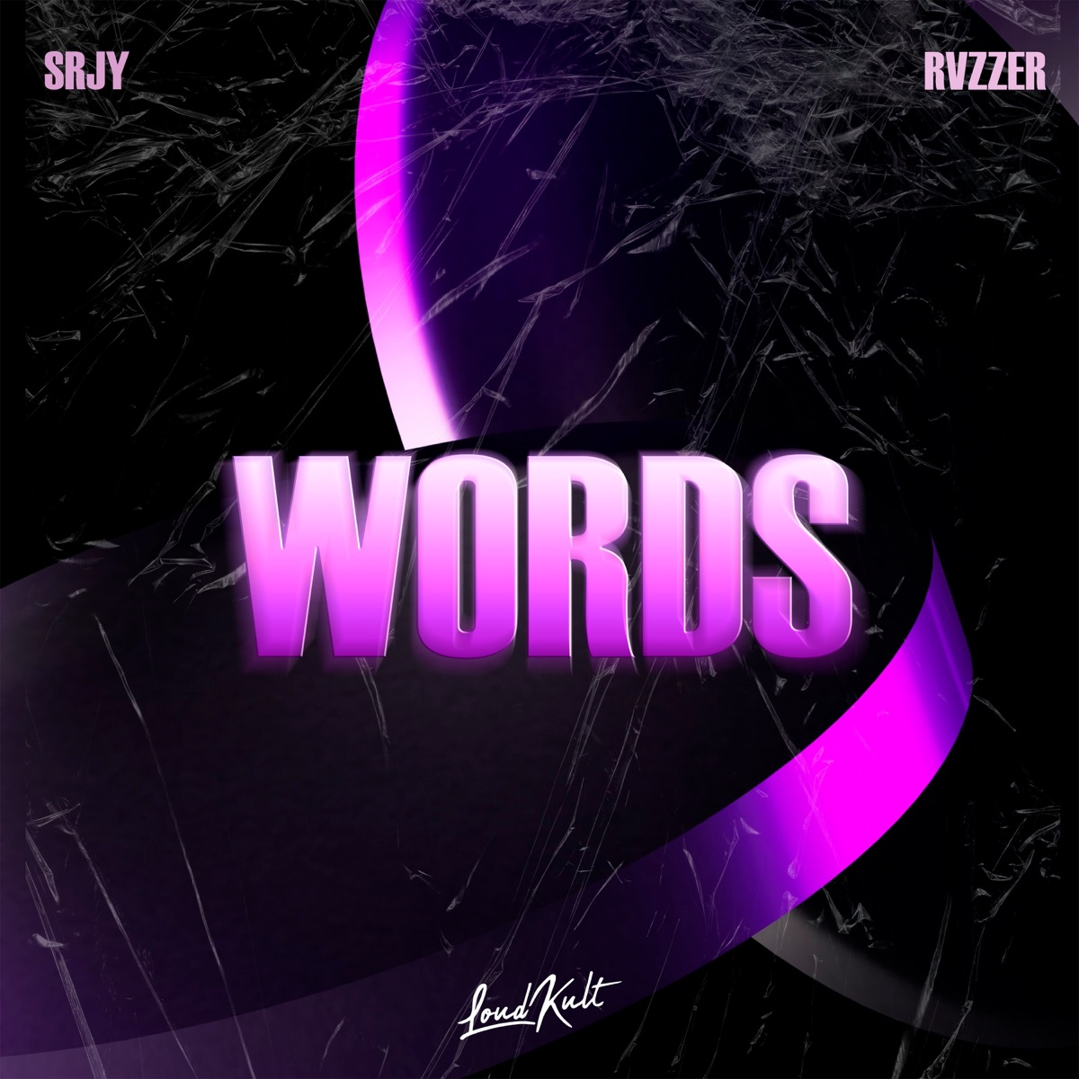 Words - Single by SRJY & RVZZER album cover