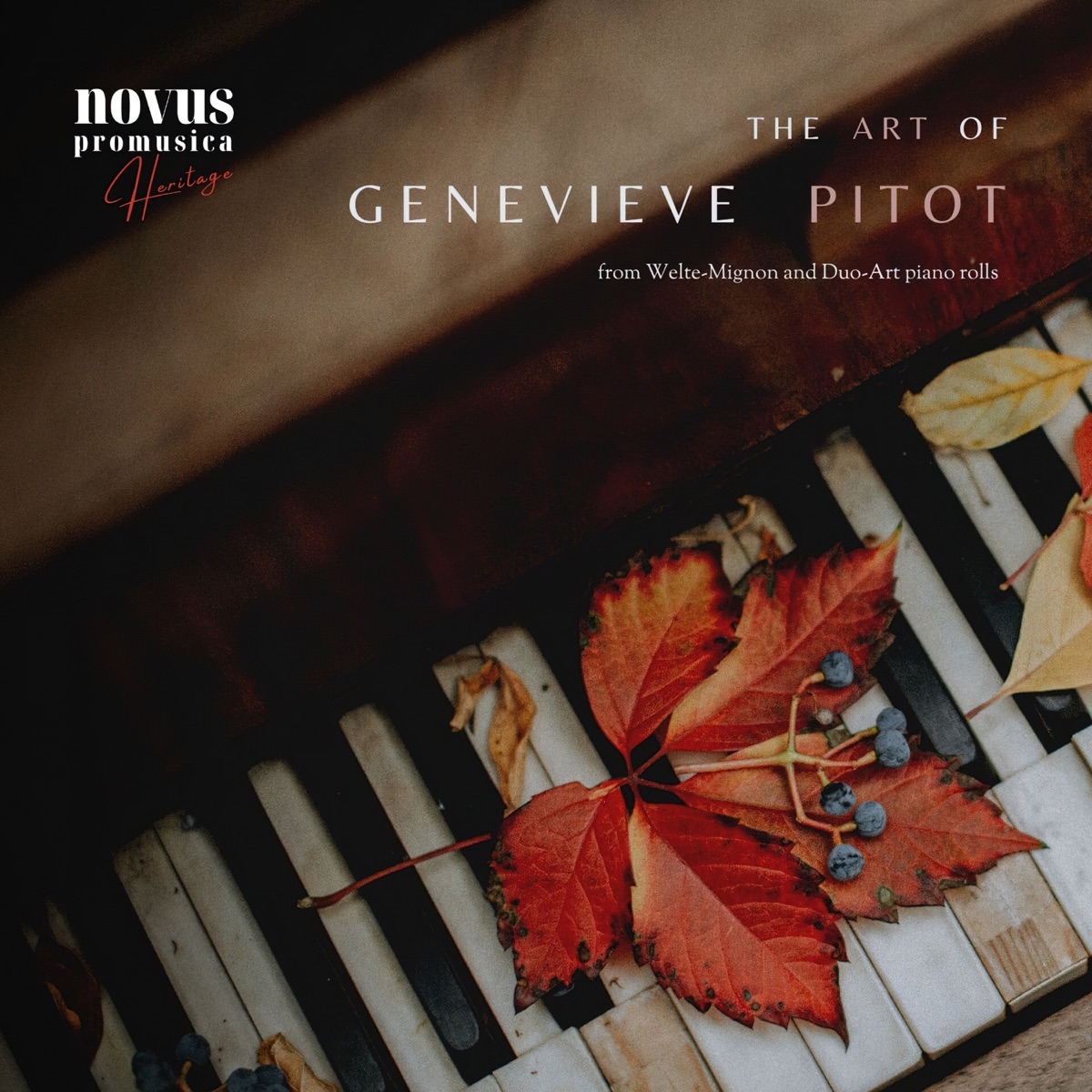 The Art of Genevieve Pitot: Piano Music from the Golden Age (with Gaetano Donizetti & Émile Waldteufel) by Genevieve Pitot album cover