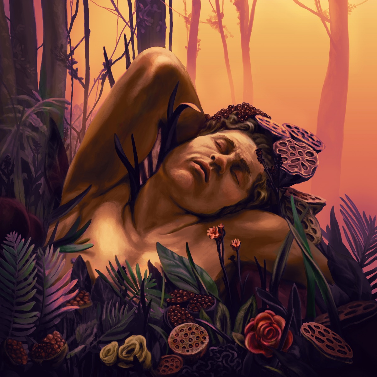Dolos by Murlo album cover