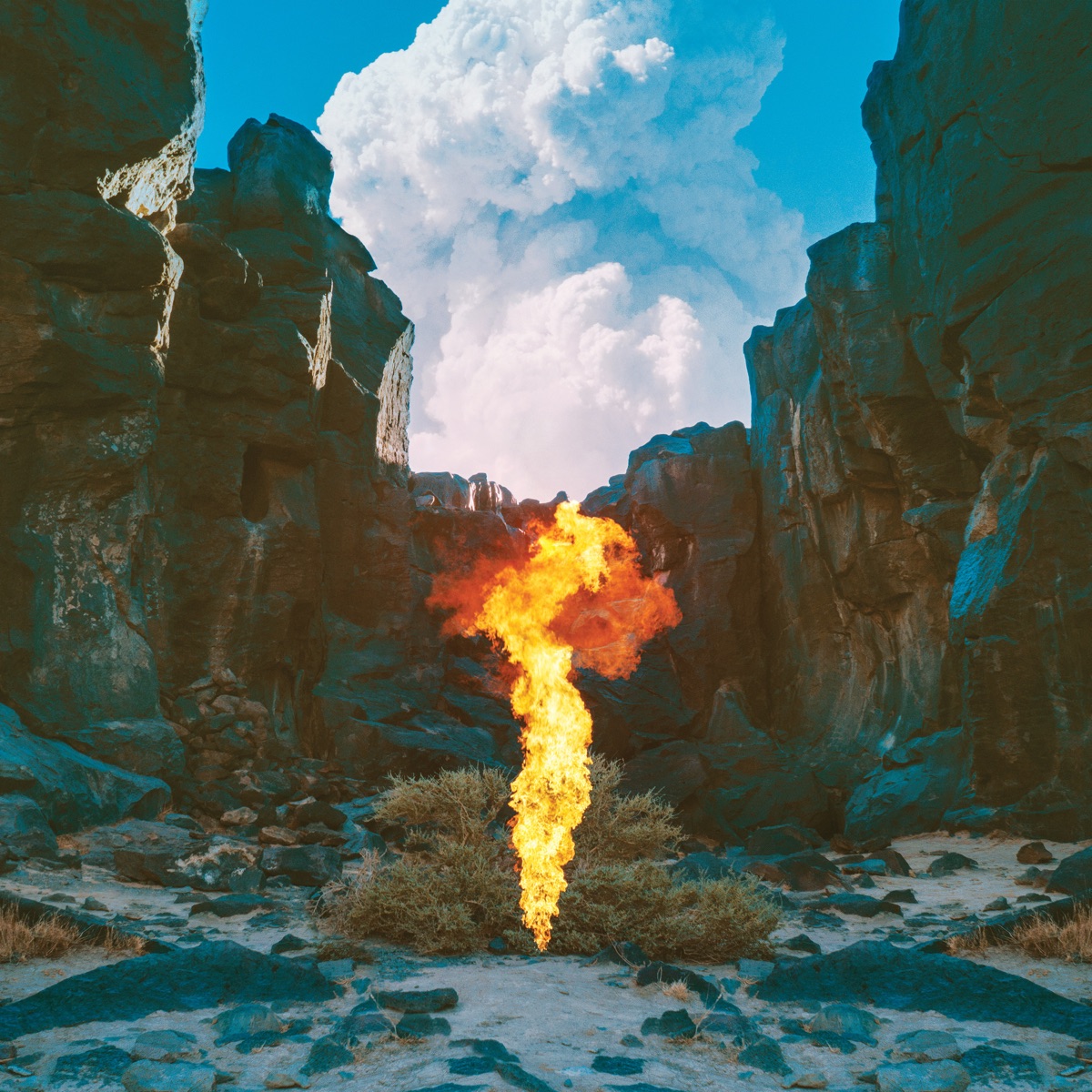 Migration by Bonobo album cover