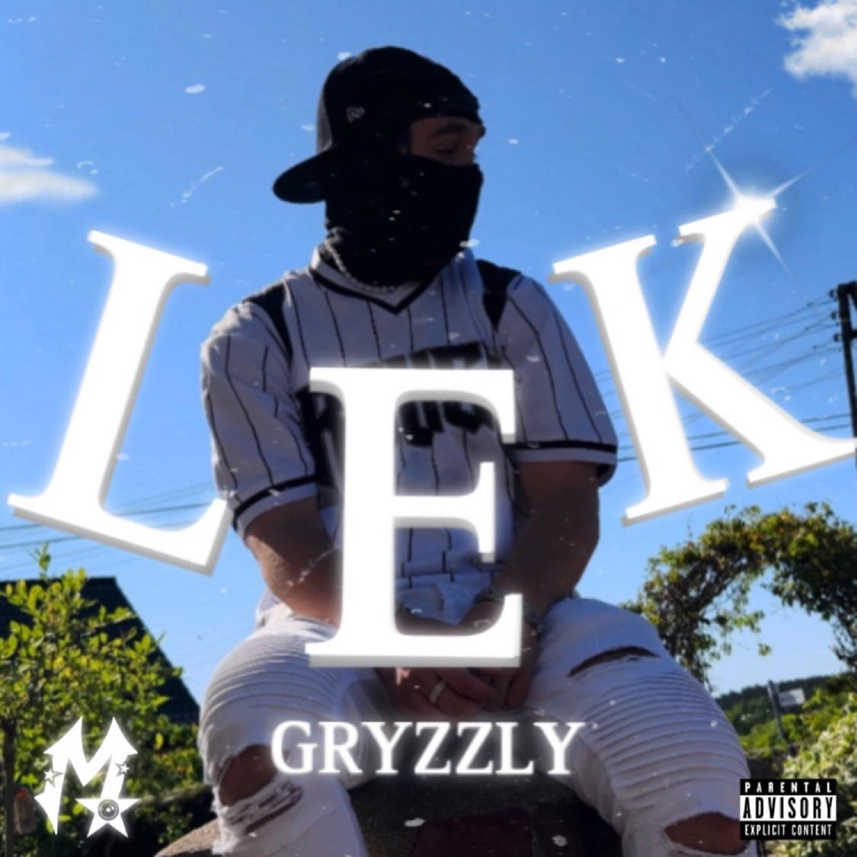 Lek - Single by Gryzzly album cover