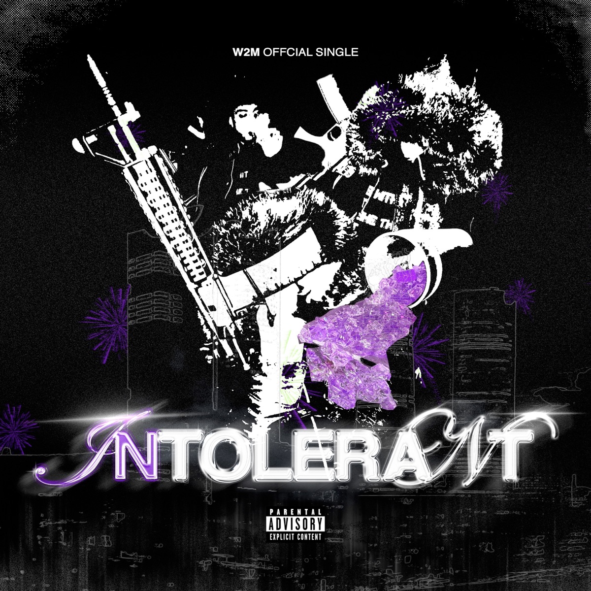 INTOLERANT - Single by Shynelevell album cover