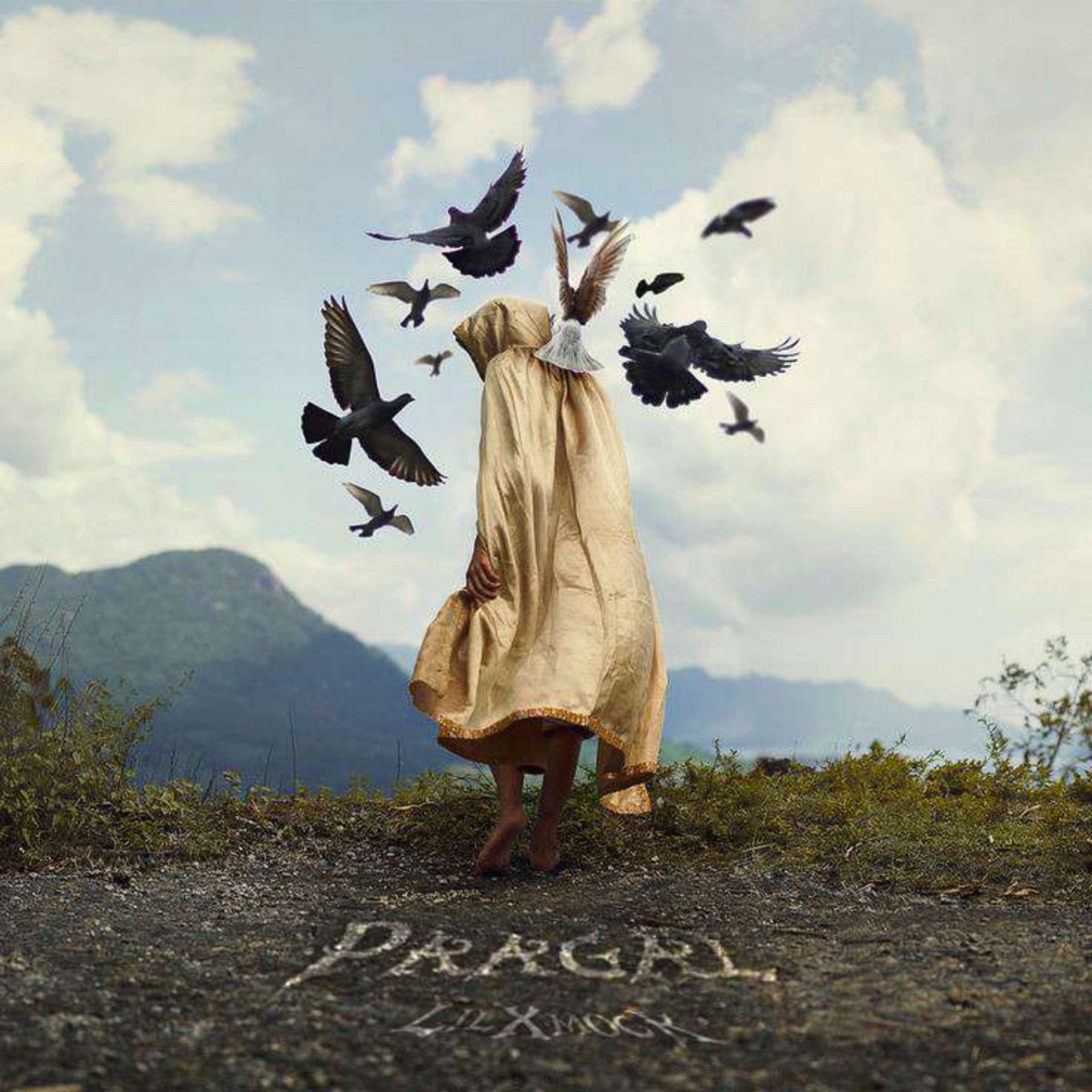 Paagal - Single by LilXmocK album cover