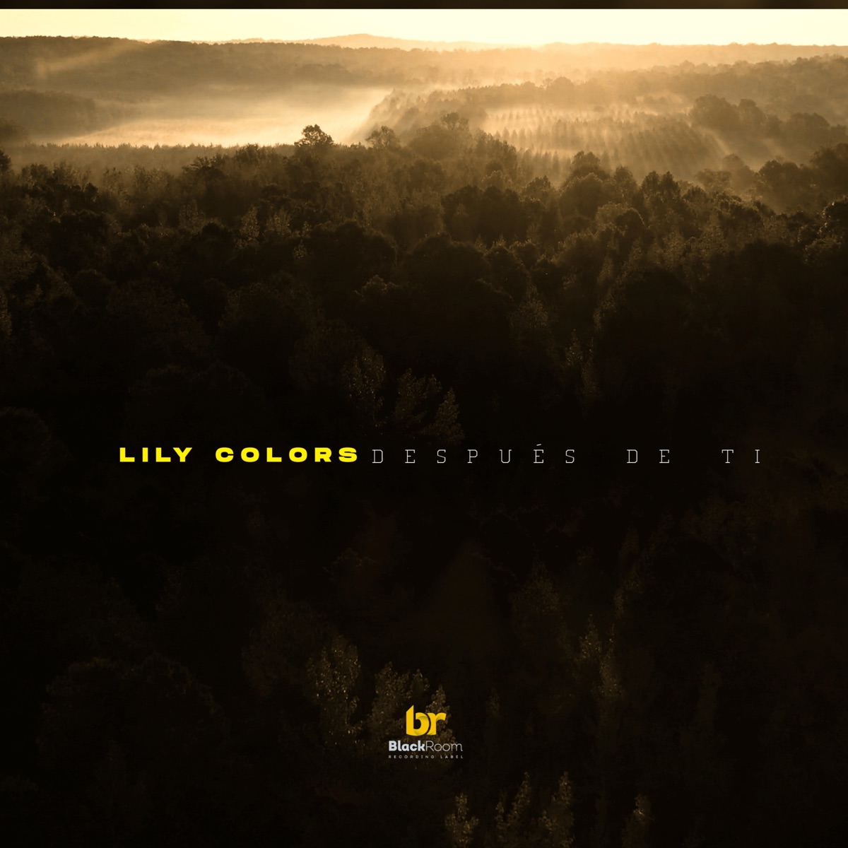 Después de Ti - Single by Black Room RL & Lily Colors album cover