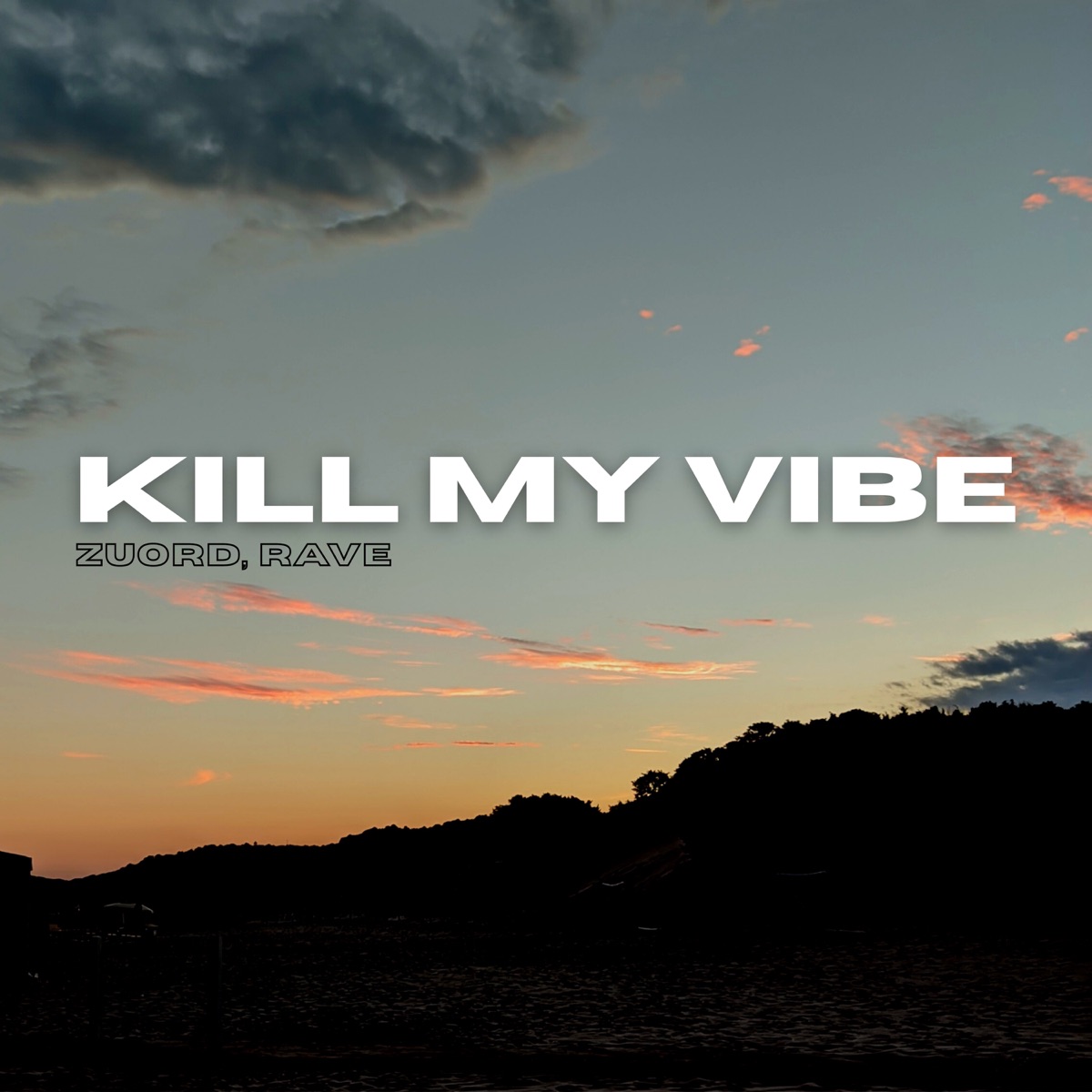 Kill My Vibe - Single by ZuoRd & Rave album cover