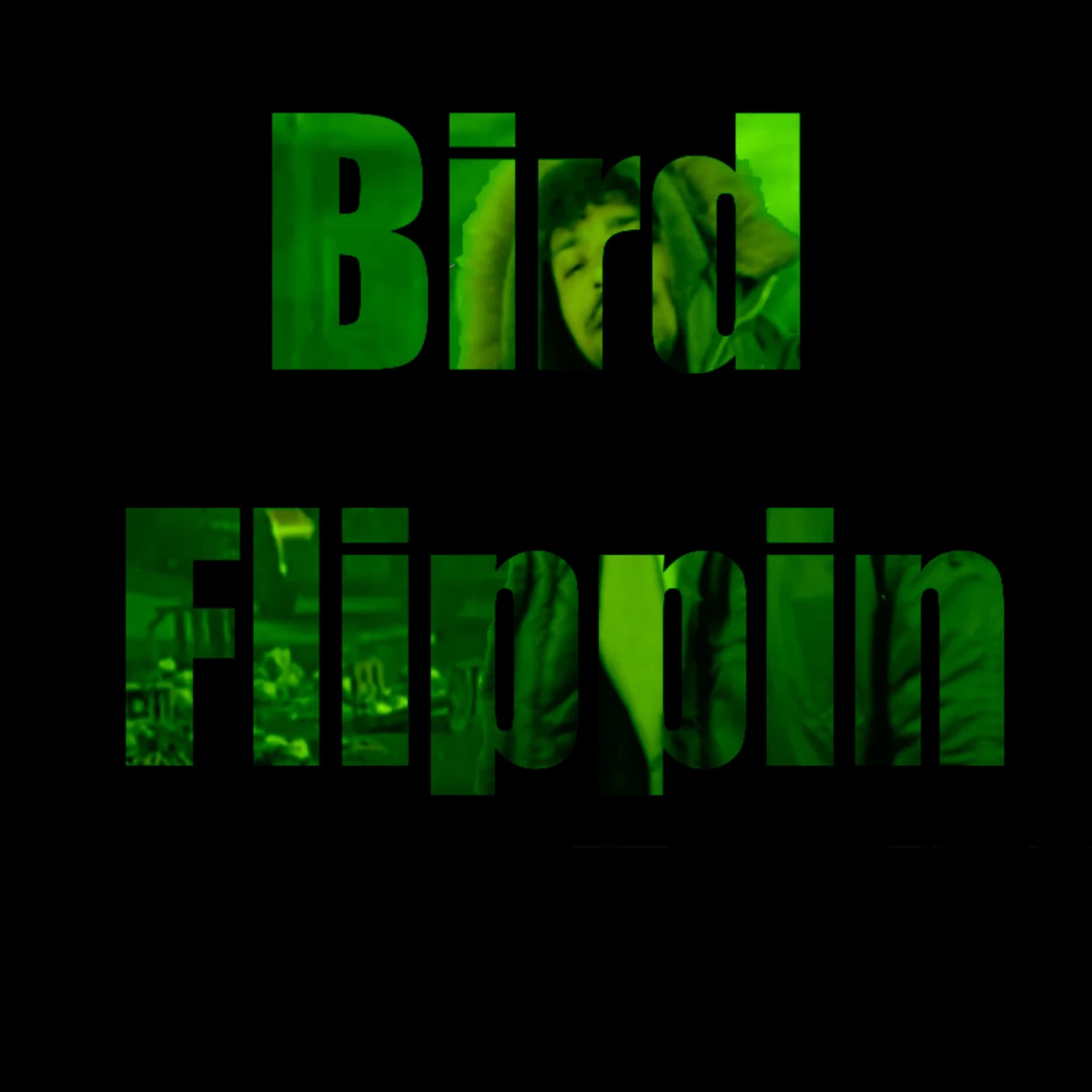 Bird Flippin [feat. Worms Ali & Tut Mosis] [Roka Rework] - Single by Mr Roka album cover