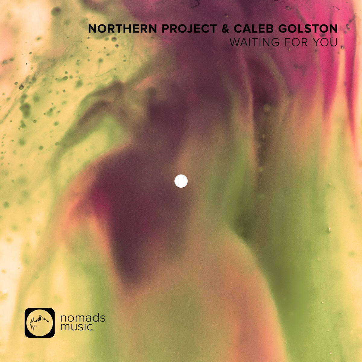 Waiting for You - Single by Northern Project & Caleb Golston album cover