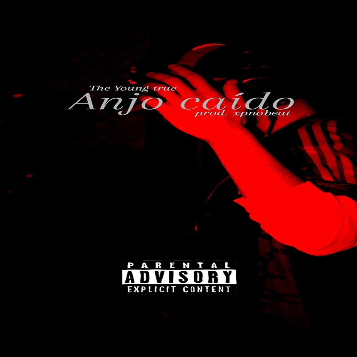 Anjo Caido - Single by The Young True album cover