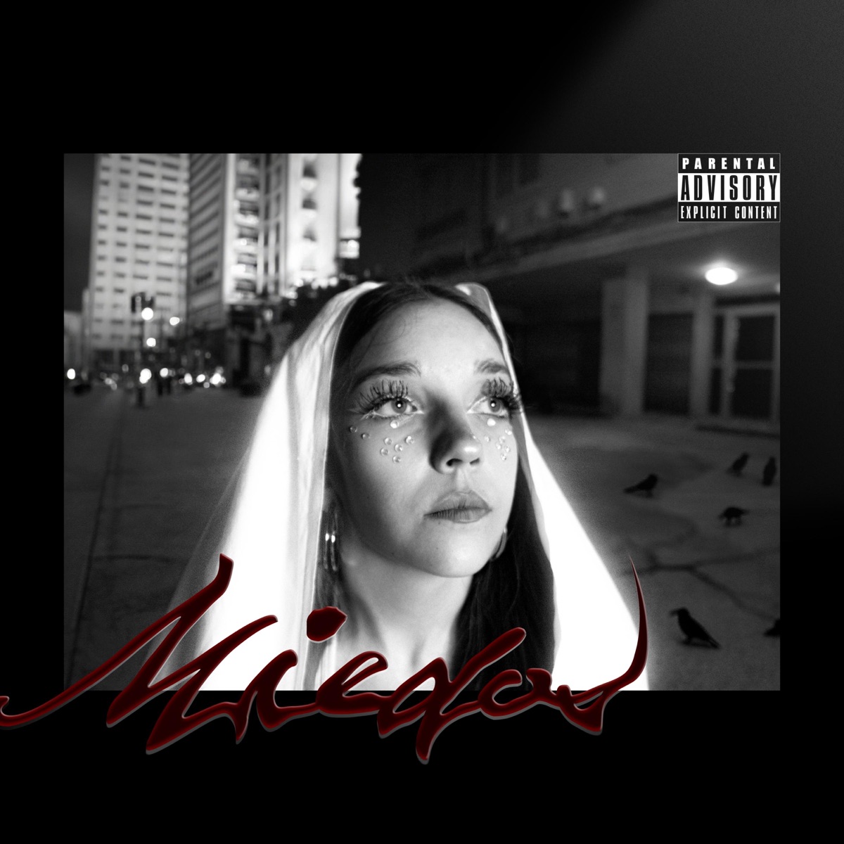 Miedos (feat. Kanon & Maggie) - Single by Fabry-X album cover