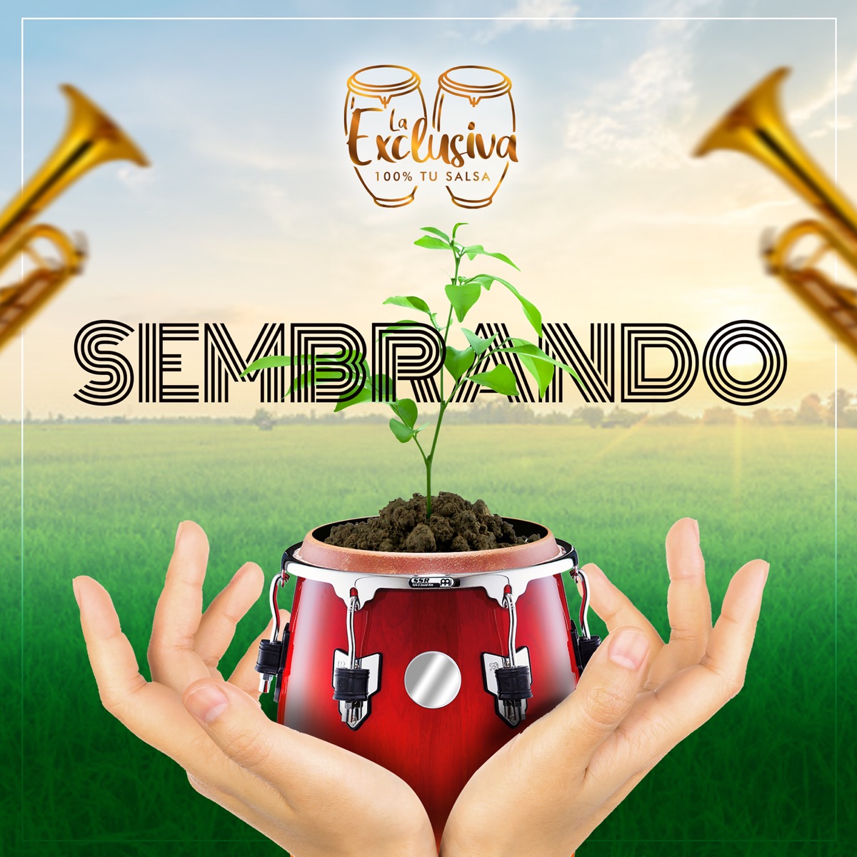 Sembrando - EP by Orquesta la Exclusiva album cover