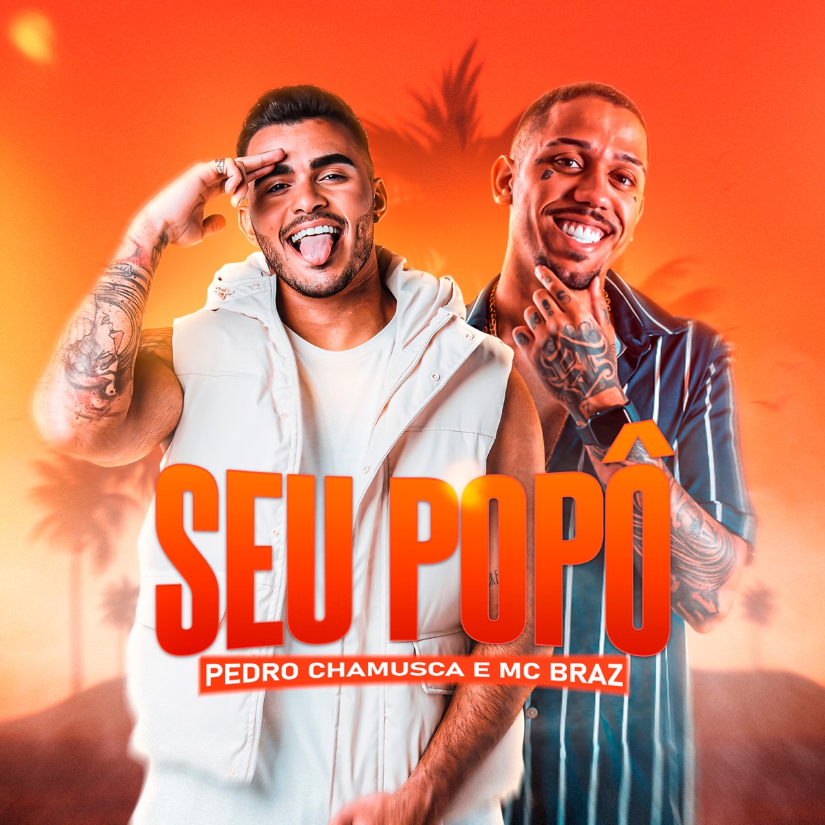 Seu Popô - Single by Pedro Chamusca & MC Braz album cover