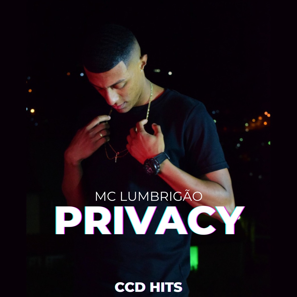 Privacy - Single by Mc LBe album cover
