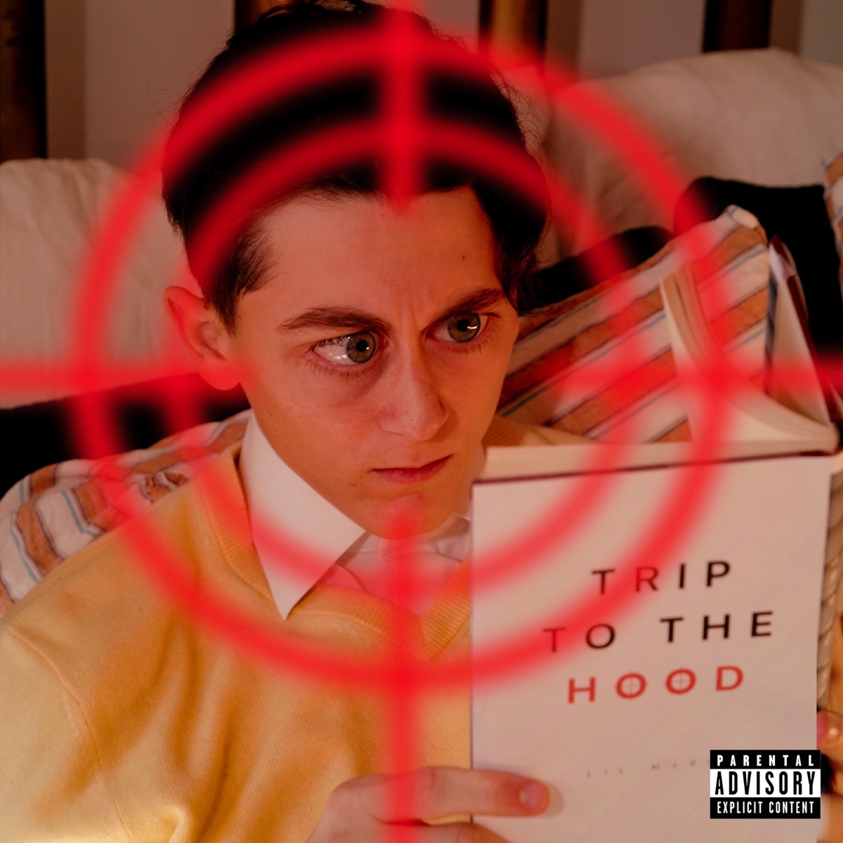 TRIP TO THE HOOD - Single by Lil Mabu album cover