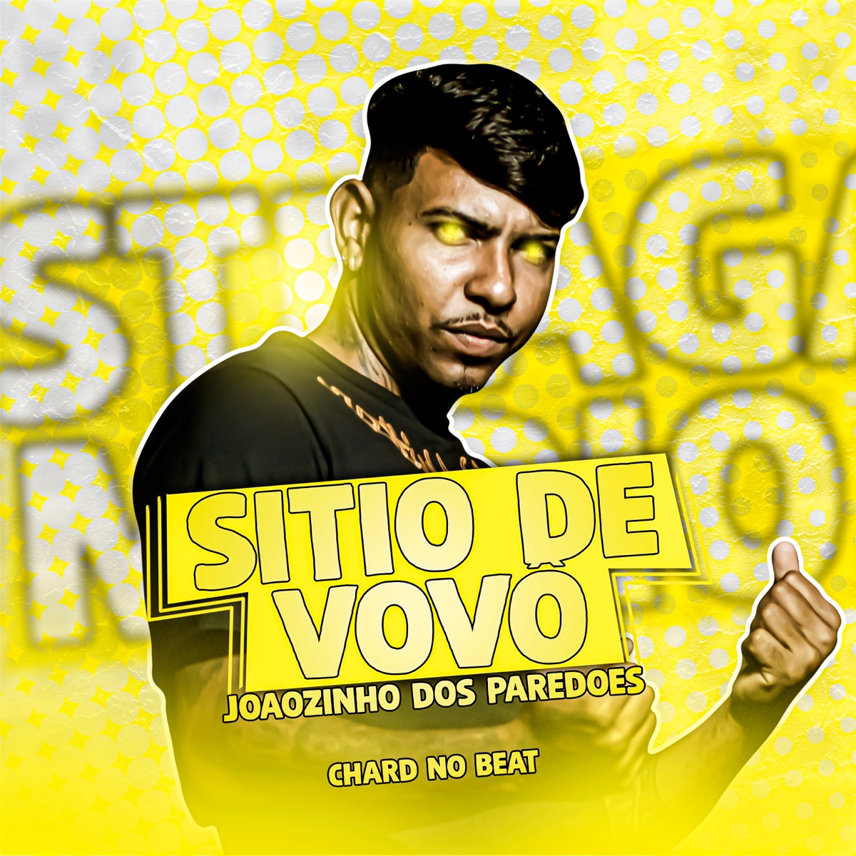 Sitio de Vovô - Single by Joãozinho dos Paredões album cover