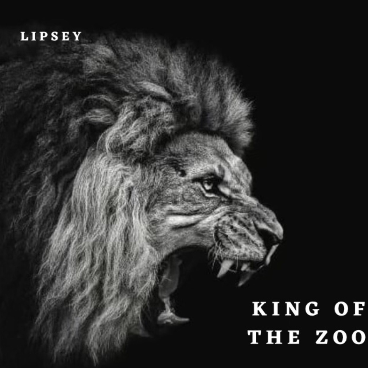King of the Zoo - Single by LIPSEY album cover