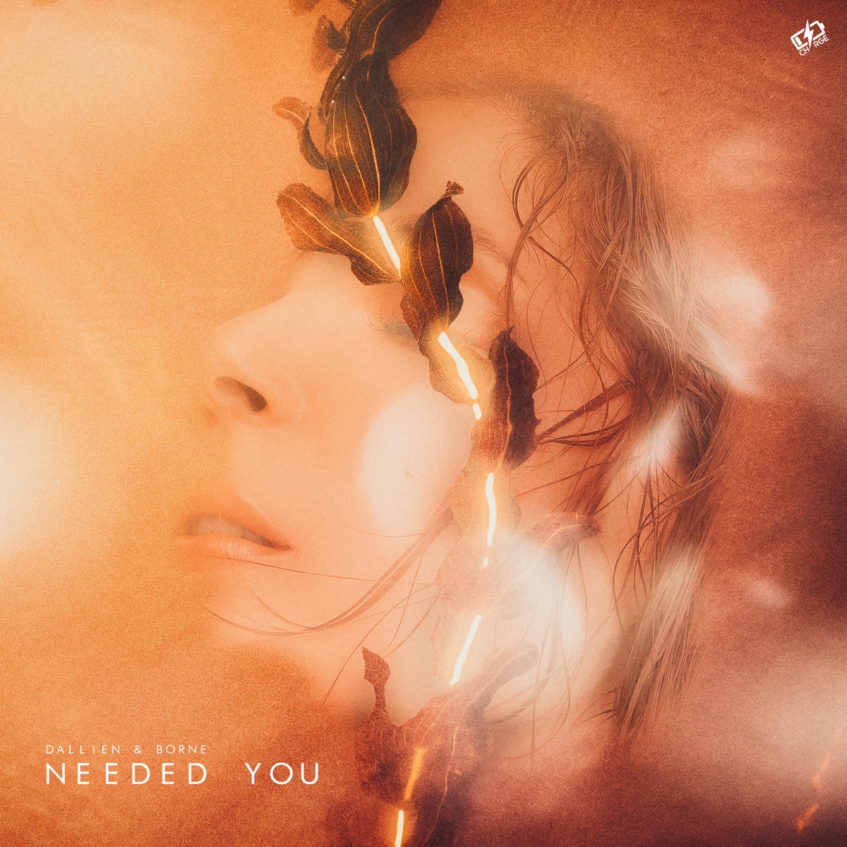 Needed You - Single by Dallien & borne album cover