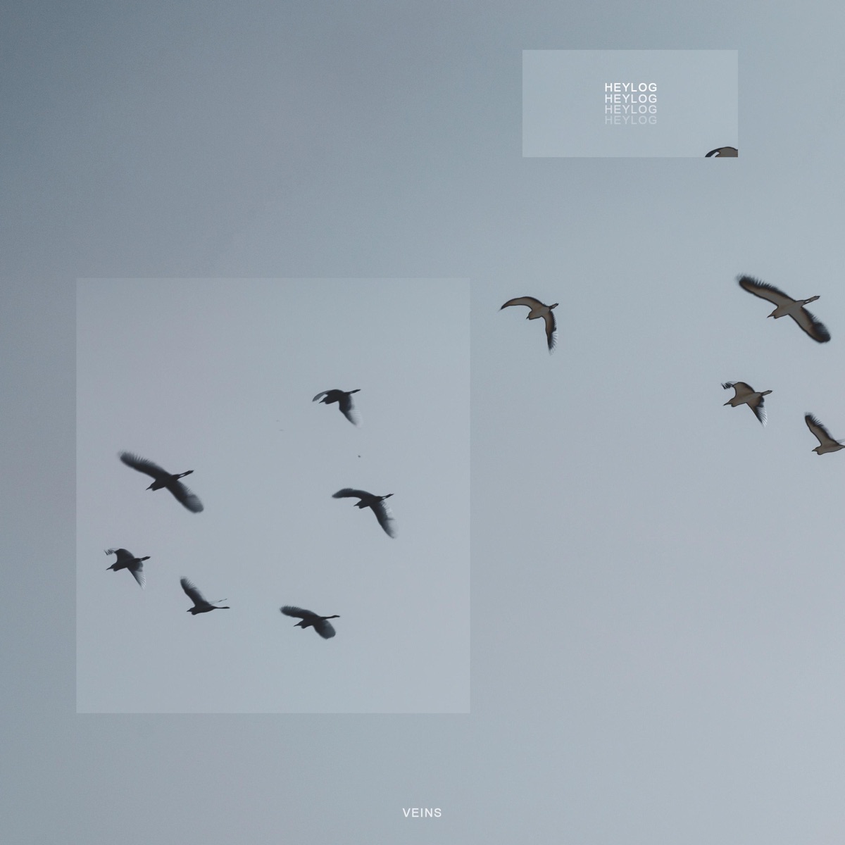 Veins - Single by heylog, biteki & 静的 Static album cover