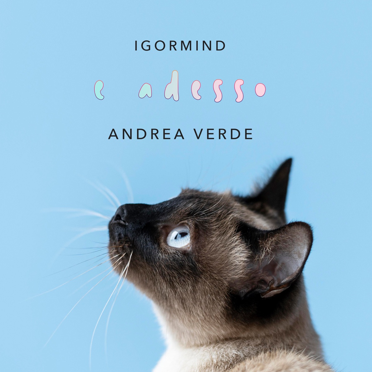 E Adesso (feat. Andrea Verde) - Single by Igormind album cover
