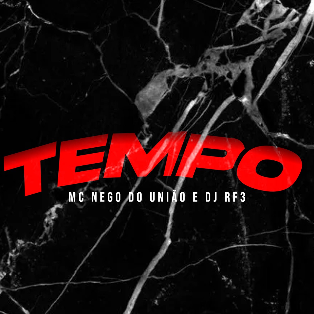 Tempo - Single by MC Nego do União & DJ RF3 album cover