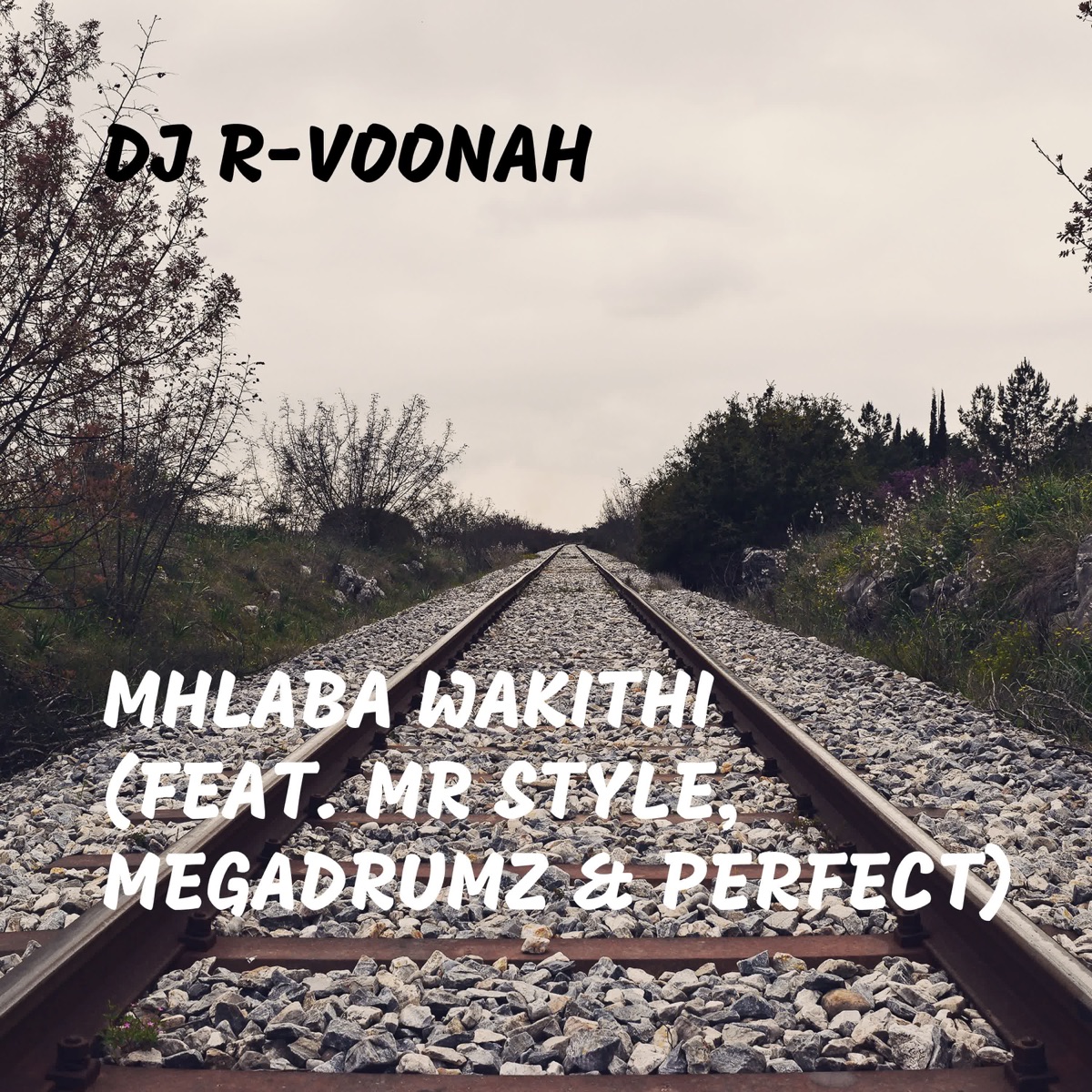 Mhlaba Wakithi (feat. Mr Style, Megadrumz & Perfect) - Single by DJ R-Voonah album cover