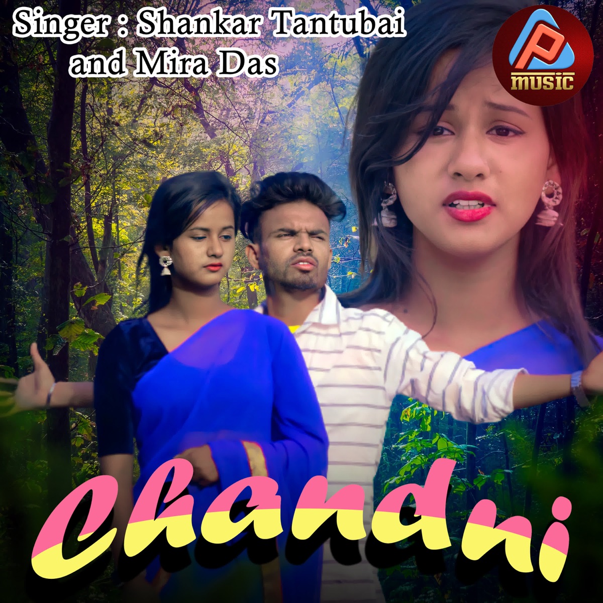 Chandni - Single by Shankar Tantubai & Mira Das album cover