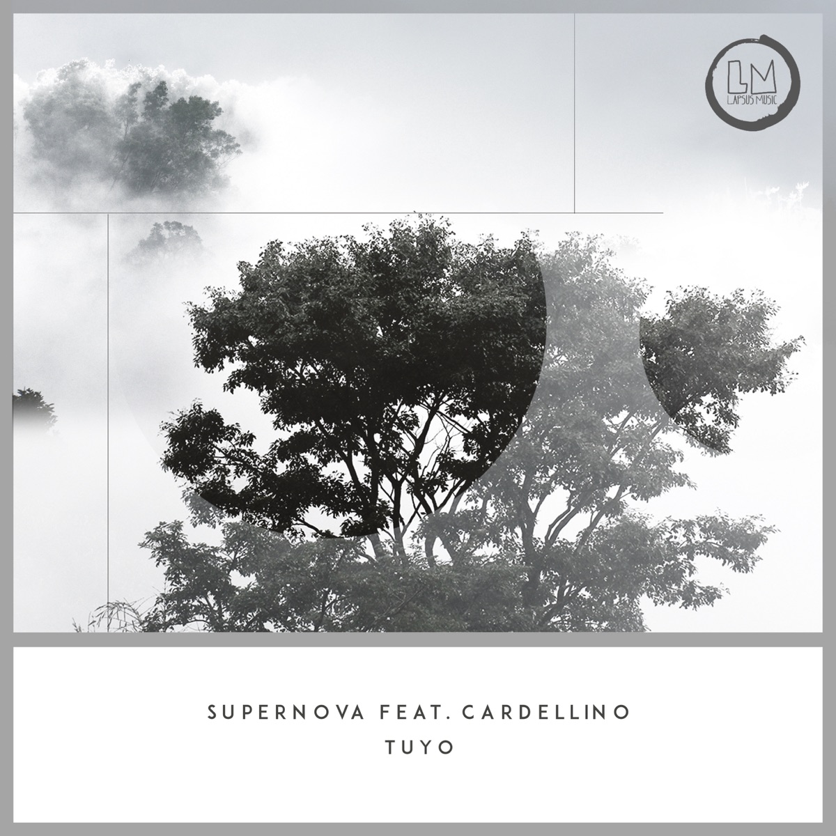 Tuyo - Single by Supernova & Cardellino album cover