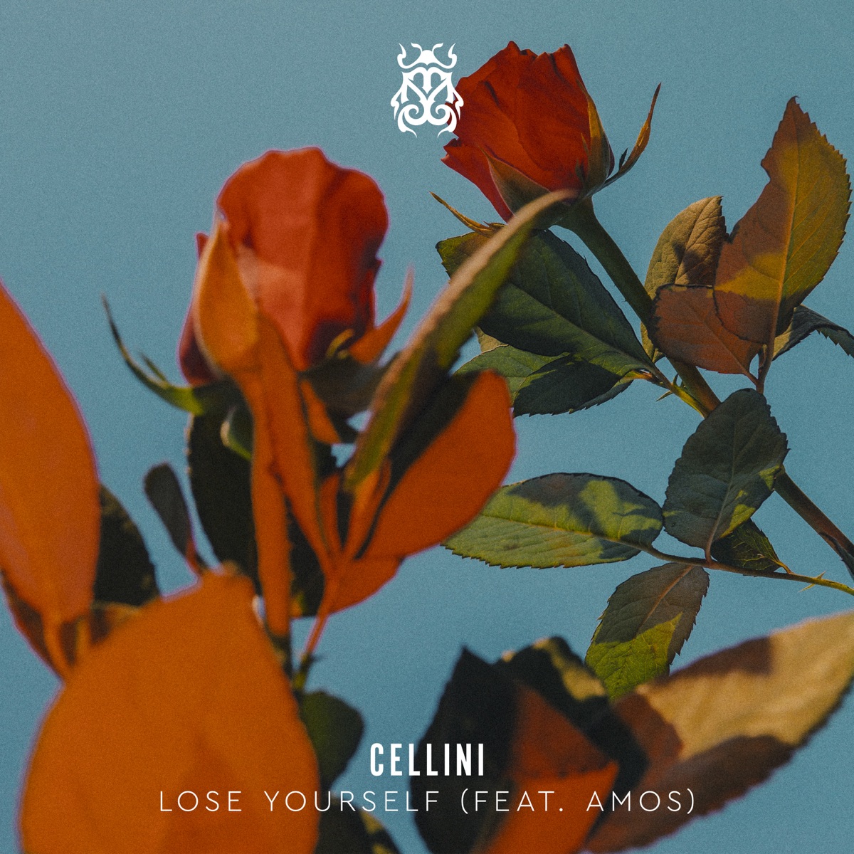 Lose Yourself (feat. Amos) - Single by Cellini album cover