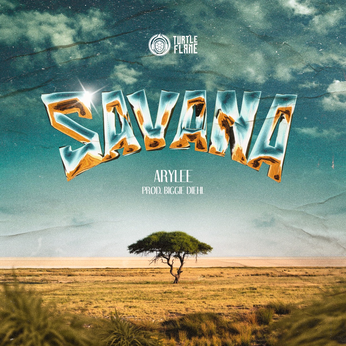 SAVANA - Single by Arylee, Turtle Flame & biggie diehl album cover
