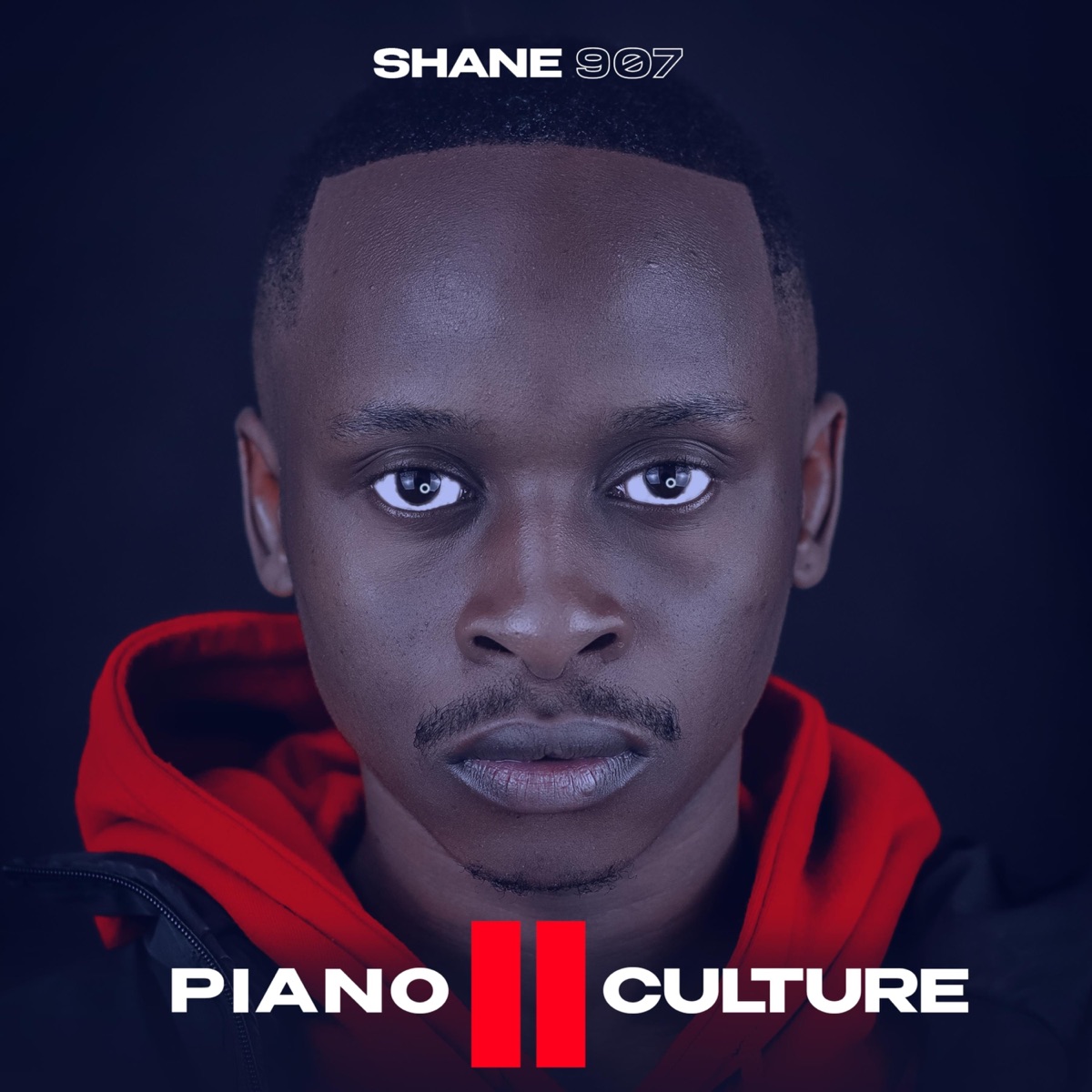 Piano Culture ll by Shane907 album cover
