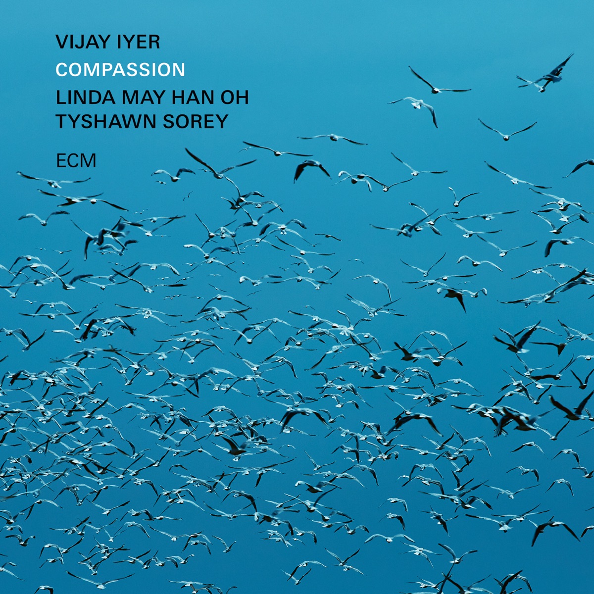 Compassion by Vijay Iyer, Linda May Han Oh & Tyshawn Sorey album cover